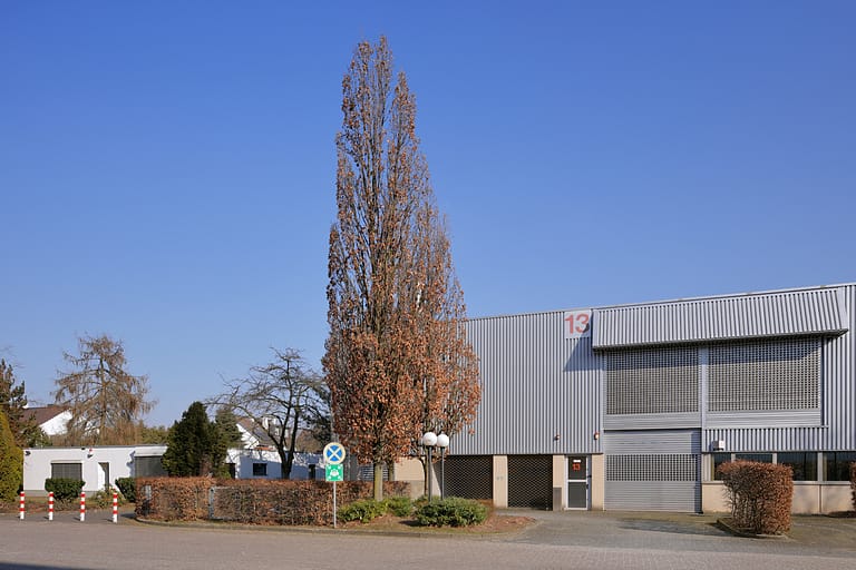 Ansicht des Außenbereichs mit Grünfläche und Baum